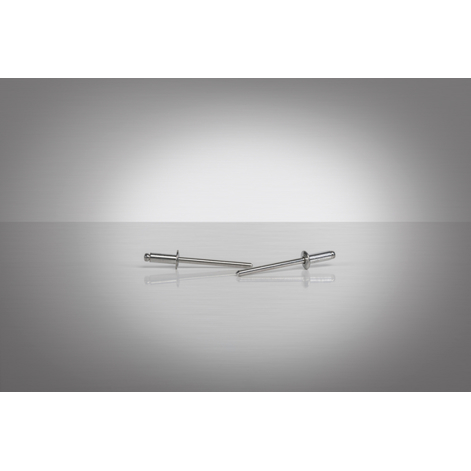 GESIPA Blindniete A2-Edelstahl 3 x 8 mm, Flachrundkopf, rostfrei